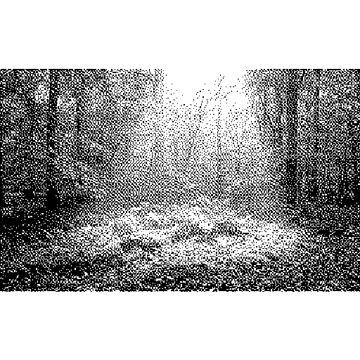 Ein Lichtstrahl fällt durch ein Blätterdach auf einen einzelnen hellen Fleck des Waldbodens, in Atkinson-Dither. Der übrige Boden liegt gleichmäßig im Schatten.