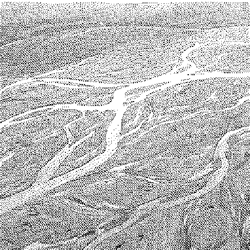 Ein breites verzweigtes Flussbett von oben in Atkinson-Dither. Viele helle Rinnen ziehen sich durch den Kies, in keiner davon steht Wasser.